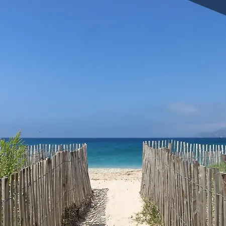 Le Saint Louis Blue Bulldog 耶尔